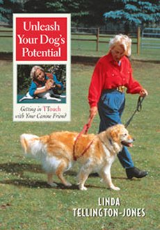 Unleash Your Dogs Potential: Getting in TTouch with Your Canine Friend (DVD)