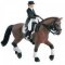 Dressage, Classical Riding and Equitation
