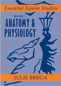Anatomy & Physiology : Essential Equine Studies Book 1