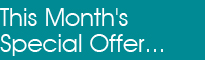 Horse Book of the Month