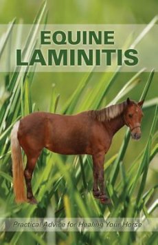 Equine Laminitis