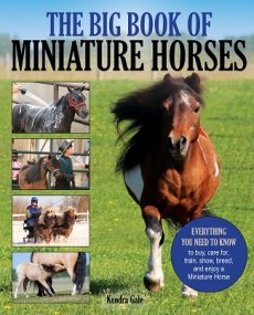 Big Book of Miniature Horses
