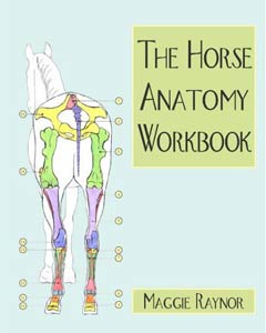 The Horse Anatomy Workbook 