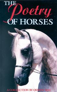 The Poetry of Horses