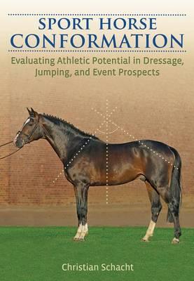 Sport Horse Conformation